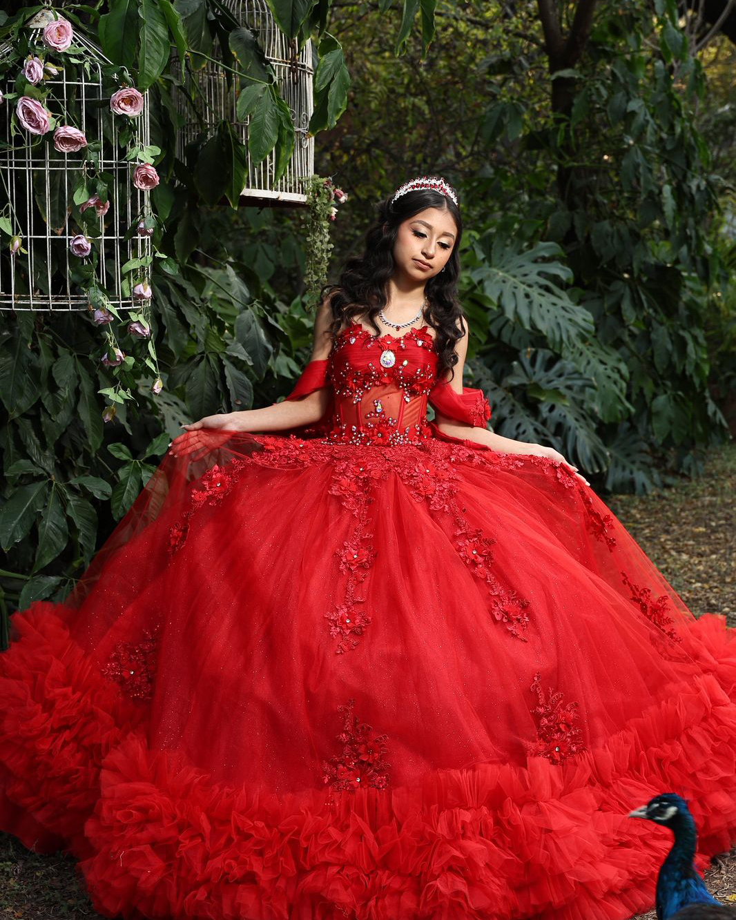 WhatsApp Image 2025-12-26 at 5.01.27 PM (1)