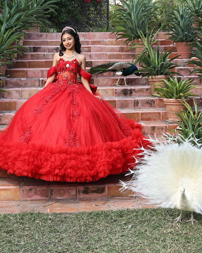 WhatsApp Image 2025-12-26 at 5.01.42 PM (1)